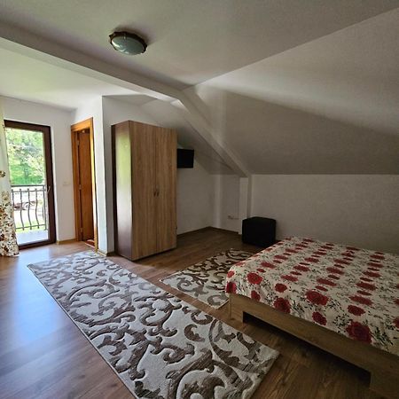 Willa Casa Alba Borşa Zewnętrze zdjęcie