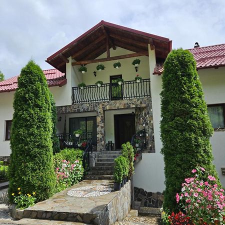Willa Casa Alba Borşa Zewnętrze zdjęcie