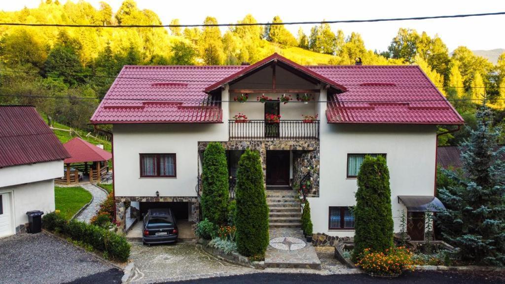 Willa Casa Alba Borşa Zewnętrze zdjęcie