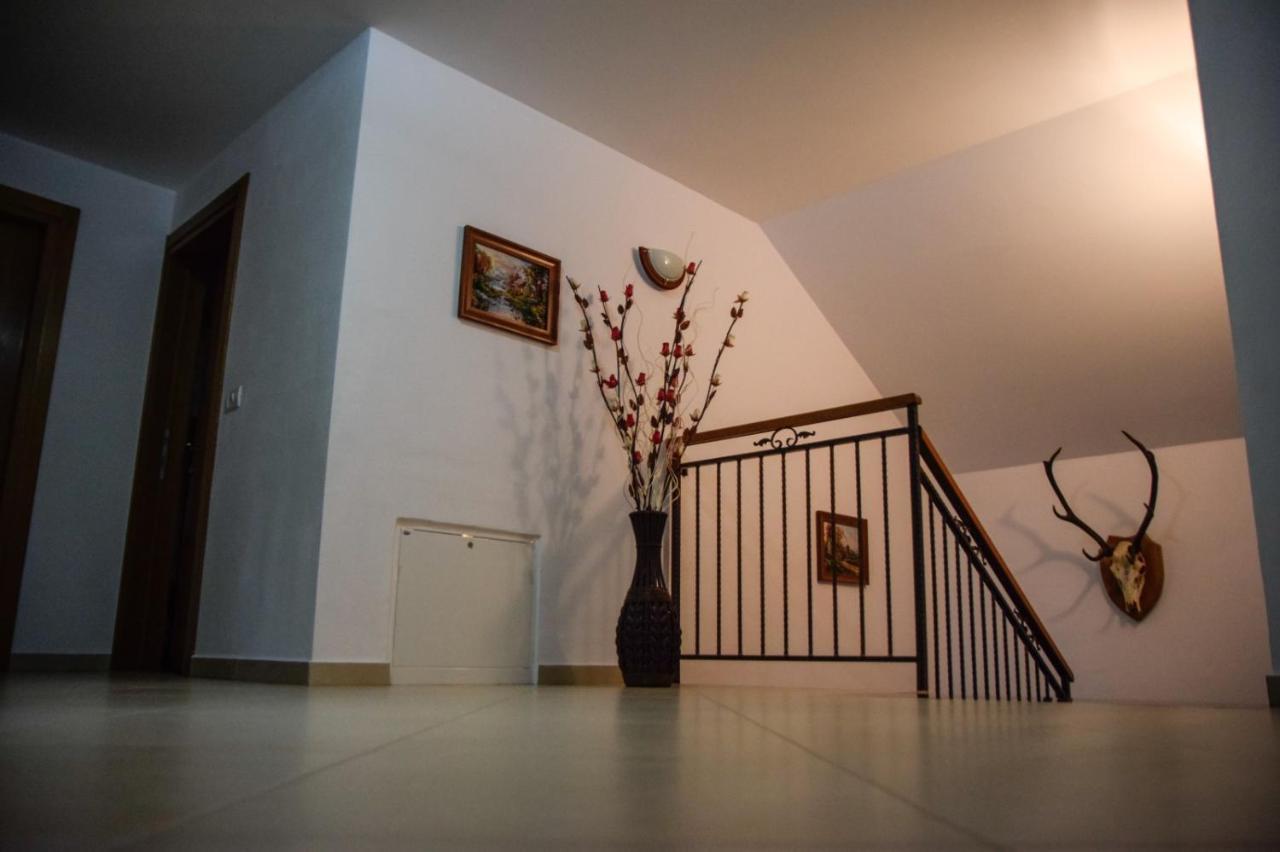 Willa Casa Alba Borşa Zewnętrze zdjęcie