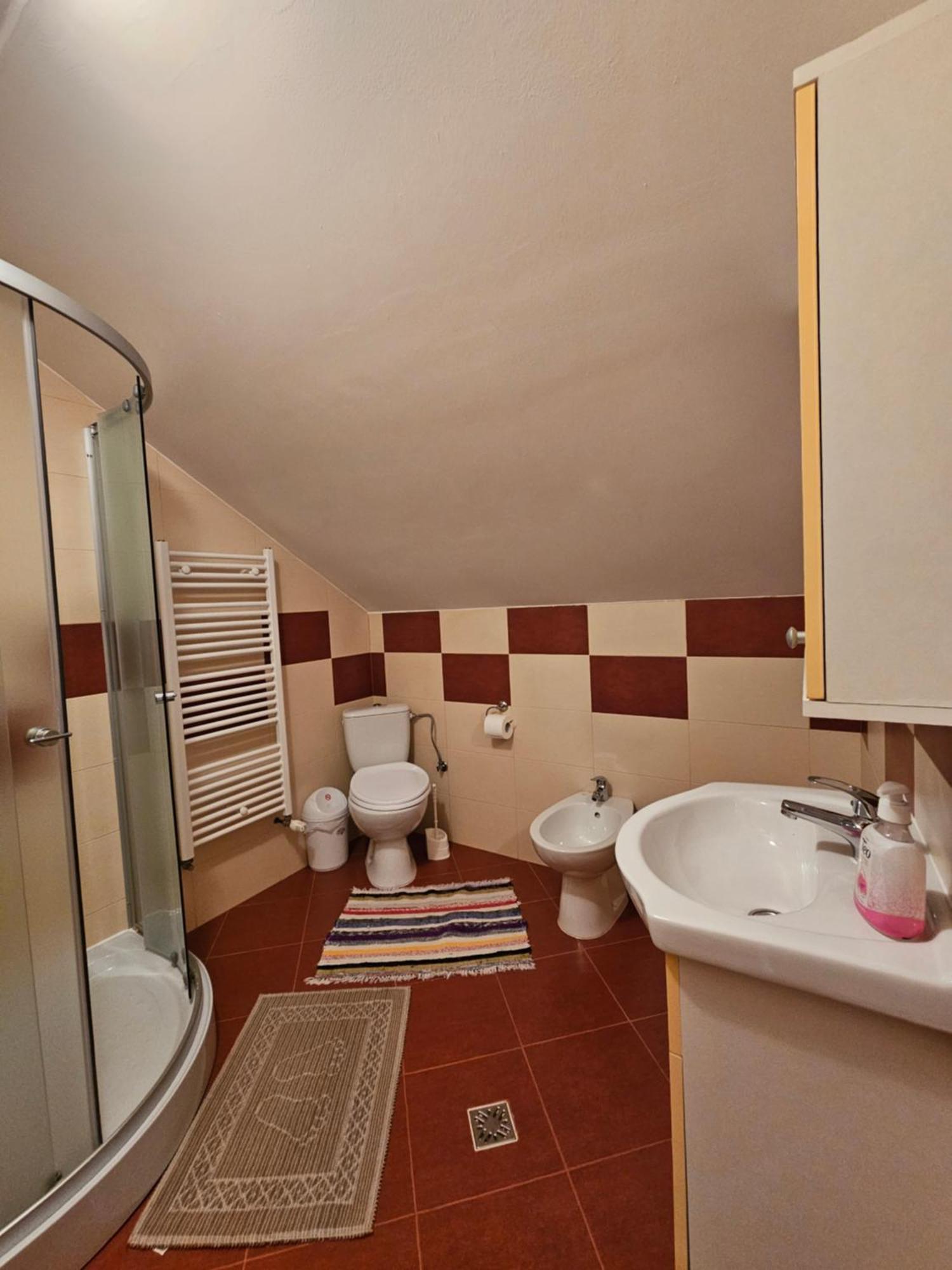 Willa Casa Alba Borşa Zewnętrze zdjęcie