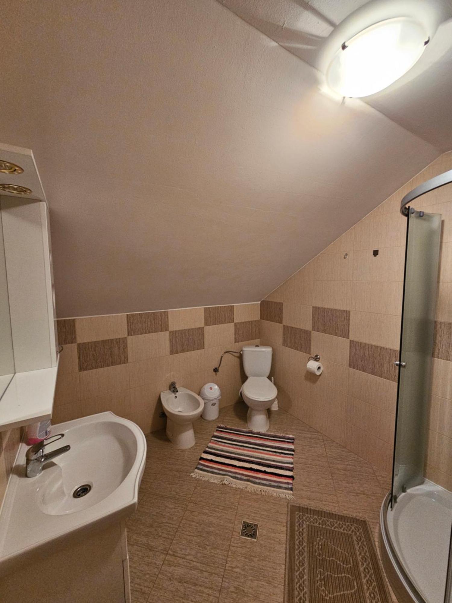 Willa Casa Alba Borşa Zewnętrze zdjęcie