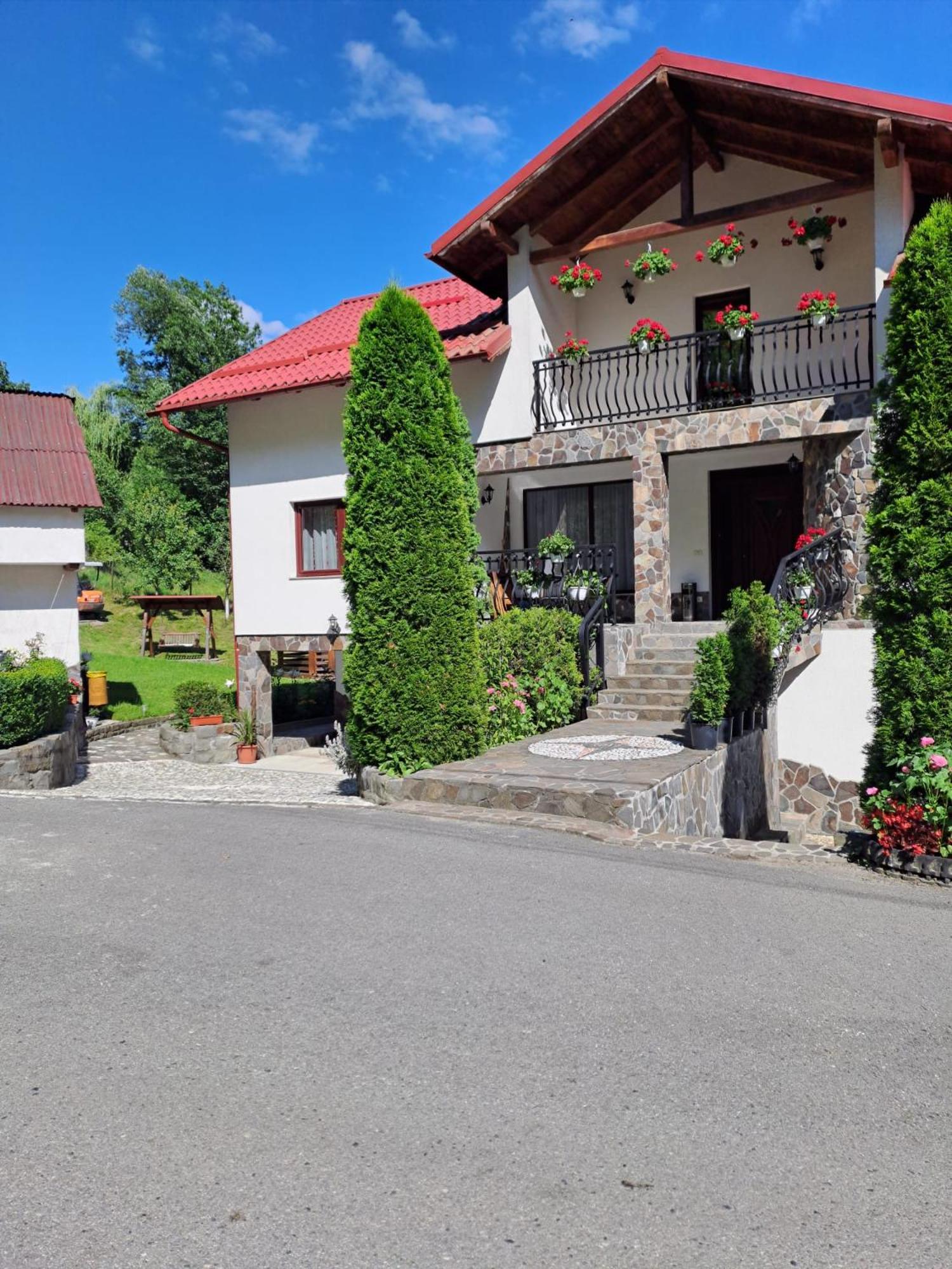 Willa Casa Alba Borşa Zewnętrze zdjęcie