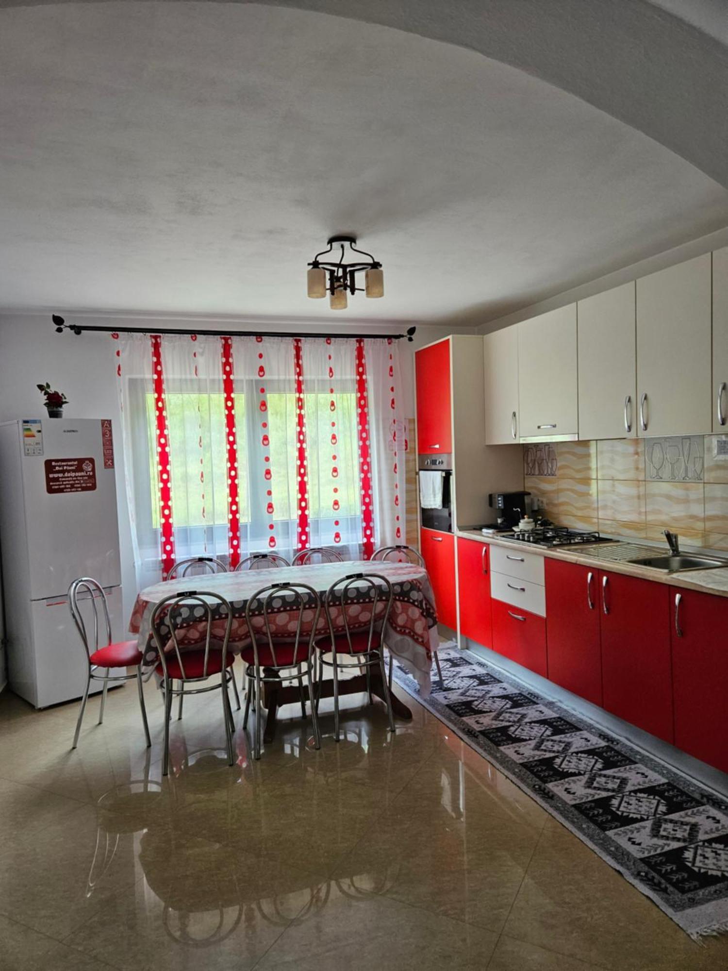 Willa Casa Alba Borşa Zewnętrze zdjęcie